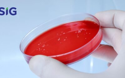 Lengkapi Kebutuhan Penelitianmu Dengan Media Sheep Blood Agar Siap Pakai di SIG