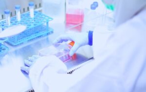 SIG Cell Culture Laboratory: Strengthens Our Support for Comprehensive Quality and Safety Testing of Medical Device Products Cell Culture Laboratory LAB KULTUR SEL SIG
