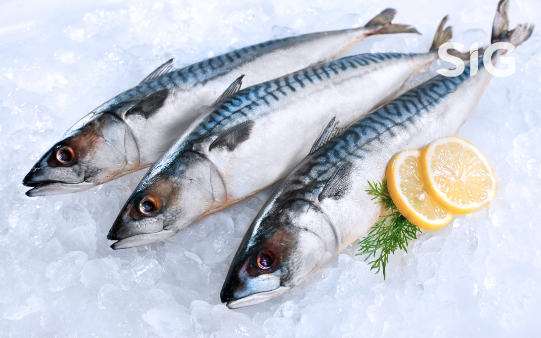 Fish That Looks Fresh ≠ Free from Antibiotic Residues
