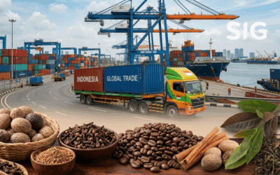 BERITA Free from Contaminants: Ethylene Oxide, 9,10-AQ, and 2,6-DIPN Proper Mitigation for Safe Products That Can Enter Export Markets